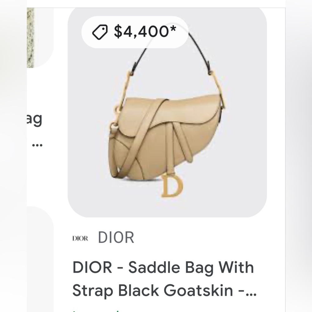 Dior saddle bag ultra rare champagne gold - Picture 14 of 15